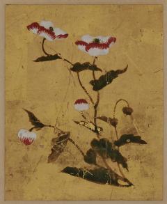 18th century Japanese floral paintings Pigment on gold leaf Set of 5 - 3787680