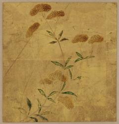 18th century Japanese floral paintings Pigment on gold leaf Set of 5 - 3787685