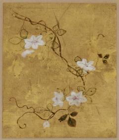 18th century Japanese floral paintings Pigment on gold leaf Set of 5 - 3787688