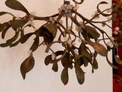 1900 Ball of Mistletoe Bronze Has Two Bulbs and Pearls Opaline - 2392773