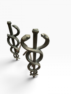 1930s Solide bronze snake andirons - 4811387