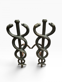 1930s Solide bronze snake andirons - 4812348
