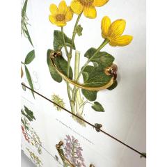 1950s Swedish Dresser With Nordens Flora Illustrations - 4385896