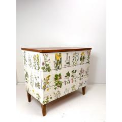 1950s Swedish Dresser With Nordens Flora Illustrations - 4385900