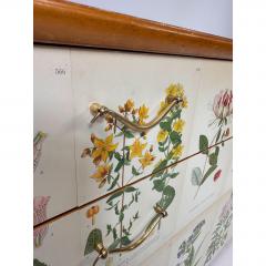 1950s Swedish Dresser With Nordens Flora Illustrations - 4599587