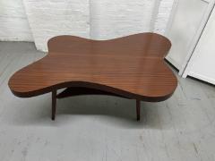 1960s Mahagony Organic Shaped Coffee Table - 3914713