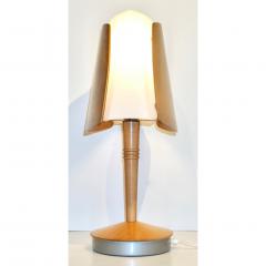 1970 French Vintage Birch Wood and Acrylic Table Lamp for Barcelona Hilton Hotel - 1487668