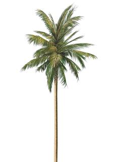 1980s hyper realist painting by Pierre Coulon - 4492841