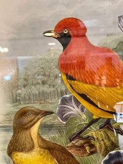 19Th Century Pair of Colored Lithographs Birds Custom Framed Signed and Dated - 3013152