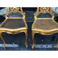19th C Antique Louis XV Petit Boudoir Giltwood Cane Back Chairs - 1767795