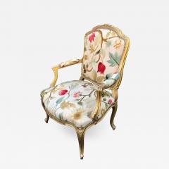 French Louis XV Style Gilt and Painted Bergere Chair with a Leopard - Ruby  Lane