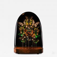 19th C Victorian Butterfly Dome - 4267356