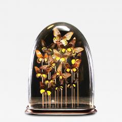 19th C Victorian Butterfly Dome - 4267361