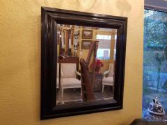 19th Century American Ebony Mirror with Bevelled Glass - 1707618