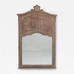 19th Century Belgian Oak Trumeau Mirror - 3272290