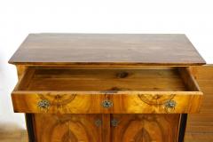 19th Century Biedemeier Nutwood Commode Trumeau Austria circa 1825 - 4417638