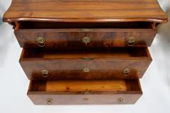 19th Century Biedermeier Chest Of Drawers With Carvings Nutwood AT ca 1860 - 4573483
