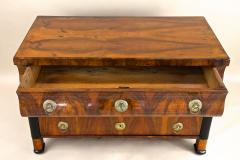 19th Century Biedermeier Chest of Drawers Commmode Hand Polished AT ca 1825 - 4350174