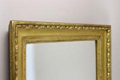 19th Century Biedermeier Gilt Wall Mirror Bulls Eye Bars Austria ca 1830 - 4745444