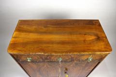 19th Century Biedermeier Nutwood Trumeau Commode Austria circa 1830 - 3400464