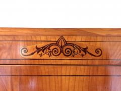 19th Century Biedermeier Prague Cabinet Marquetry Works Cherry CZ ca 1825 - 4788992