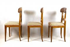 19th Century Biedermeier Shovel Dining Chairs Nutwood Set Of 6 AT ca 1830 - 4624036
