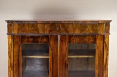 19th Century Biedermeier Walnut Cabinet Vitrine Bookcase Austria ca 1830 - 4685884
