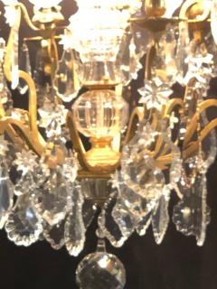19th Century Bronze and Large Crystal Palatial Chandelier - 2943237
