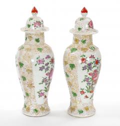 19th Century Continental Style Hand Decorated Floral details Covered Urn - 3812750