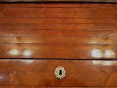 19th Century Empire Writing Desk With Roll Top Nutwood Austria ca 1800 - 4393041