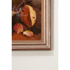 19th Century English Framed Painting of Seashells - 3330483