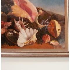 19th Century English Framed Painting of Seashells - 3330597