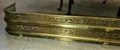 19th Century English Reticulated Brass Fender on Lions Paw Feet - 1875938