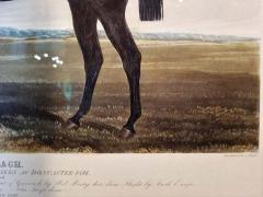 19th Century Engraving of Foig A Ballagh by Harry Hall - 1691843