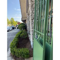 19th Century French Garden Gate with New Powdercoat - 4759095