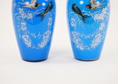 19th Century French Pair Hand Painted Decorated Art Glass Vases - 3282556