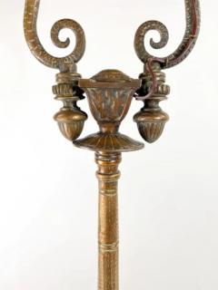 19th Century French Rococo Revival Style Bronze Patinated Dragons Floor Lamp - 2867104