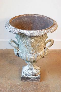 19th Century French Urn - 4001704