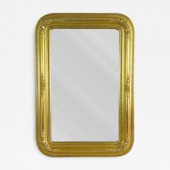 19th Century Golden Biedermeier Wall Mirror With Floral Design Austria ca 1840 - 4532097