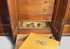 19th Century Gothic Oak Collectors Cabinet - 4764034