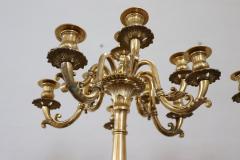 19th Century Italian Gilt Bronze Pair of Antique Candelabras with Twelve Lights - 3615245