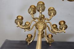 19th Century Italian Gilt Bronze Pair of Antique Candelabras with Twelve Lights - 3615251