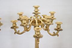 19th Century Italian Gilt Bronze Pair of Antique Candelabras with Twelve Lights - 3615255