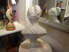 19th Century Italian Marble Bust of Aphrodite - 3700119