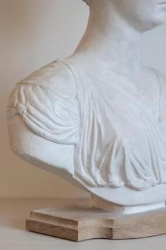 19th Century Italian Neoclassical Plaster Bust of a Roman Woman - 4012364