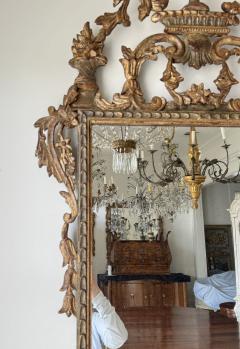 19th Century Italian Rococo Mecca Gilded Mirror Piedmont Italy - 4704933