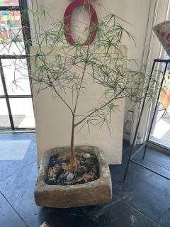 19th Century Limestone Planter - 4406981