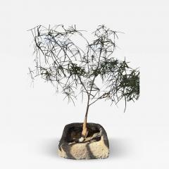 19th Century Limestone Planter - 4412158