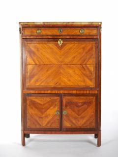 19th Century Louis Philippe Style Fall FrontChest - 3056962