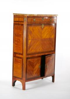 19th Century Louis Philippe Style Fall FrontChest - 3057142